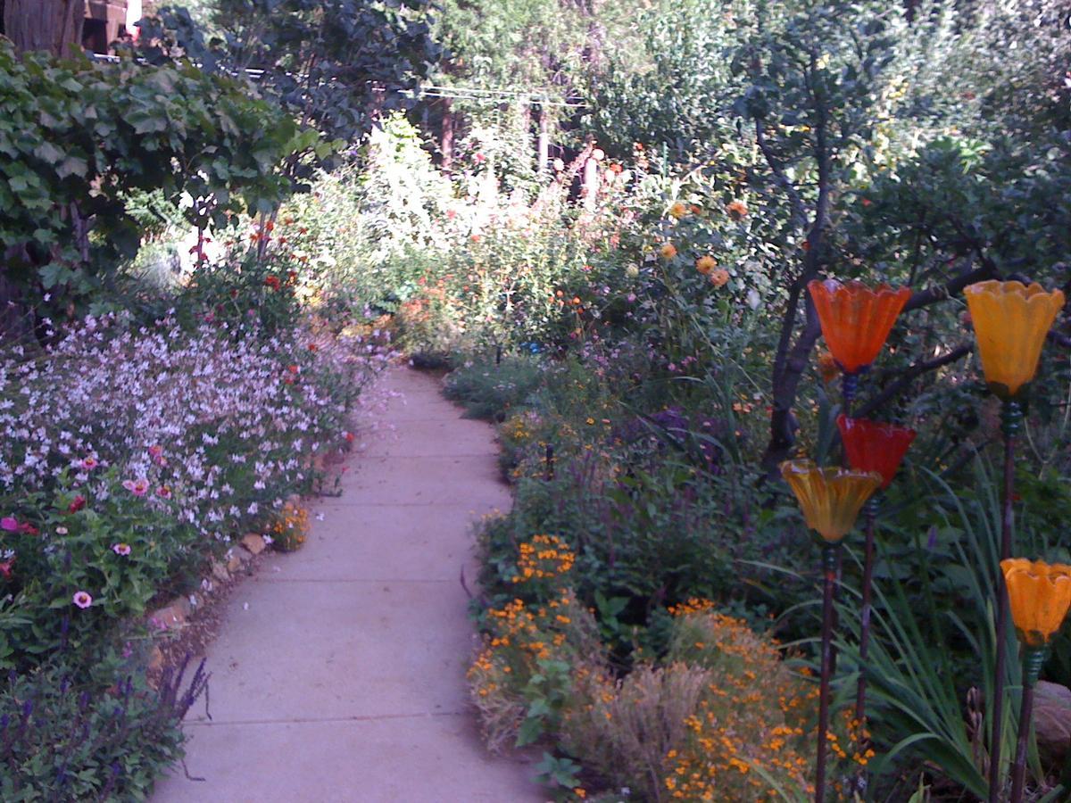 נבדה סיטי Harmony Ridge Lodge מראה חיצוני תמונה