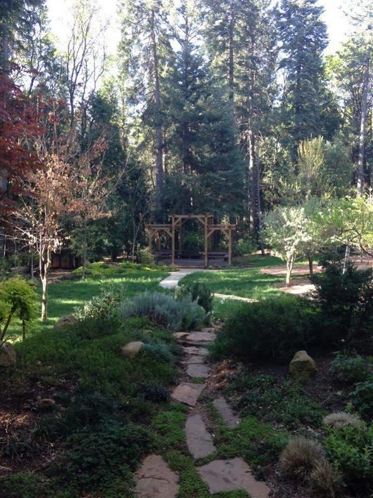 נבדה סיטי Harmony Ridge Lodge מראה חיצוני תמונה