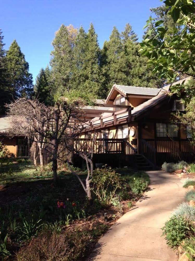 נבדה סיטי Harmony Ridge Lodge מראה חיצוני תמונה